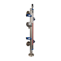 Level Gauges &Transmitters